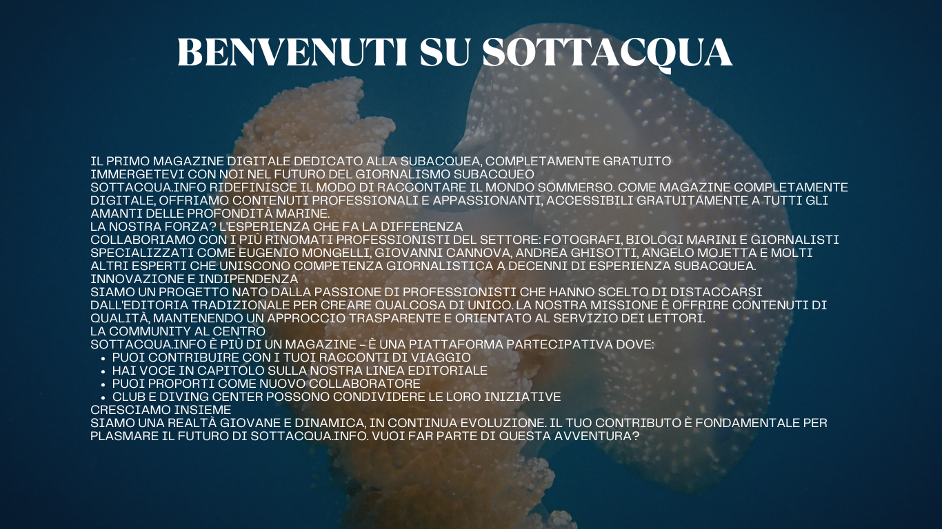 Sotto Acqua